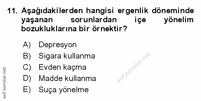 Soru 11