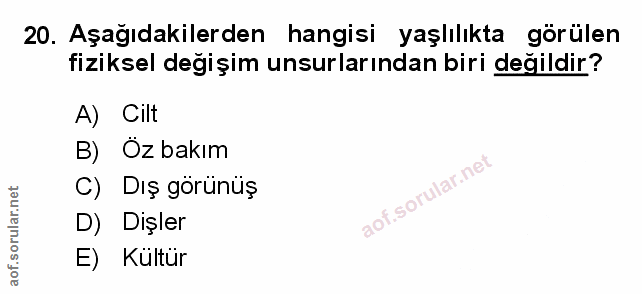Soru 20