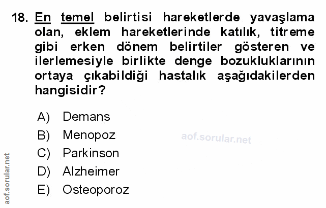 Soru 18