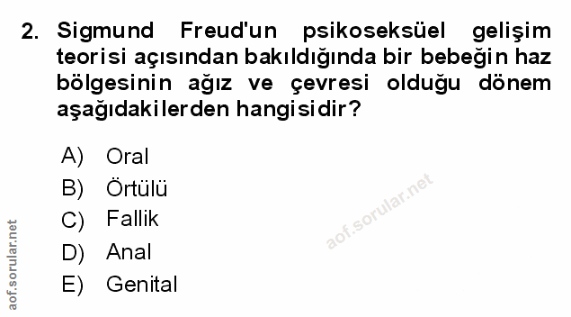Soru 2