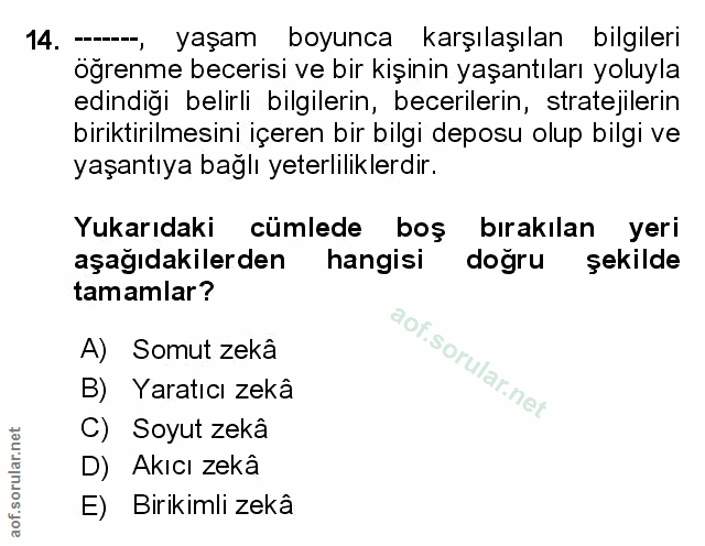 Soru 14