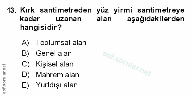Soru 13