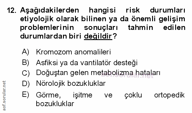 Soru 12
