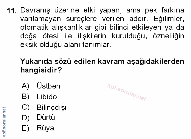 Soru 11