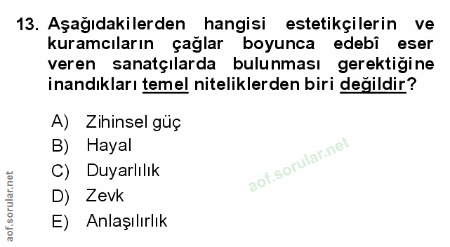 Soru 13