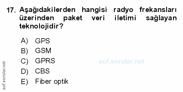Soru 17