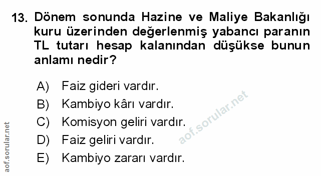 Soru 13