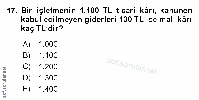 Soru 17