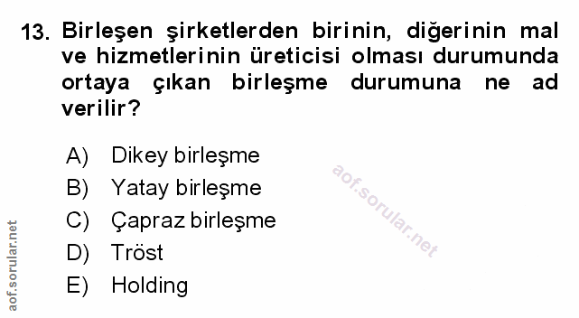 Soru 13
