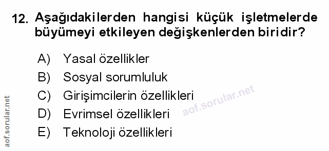 Soru 12