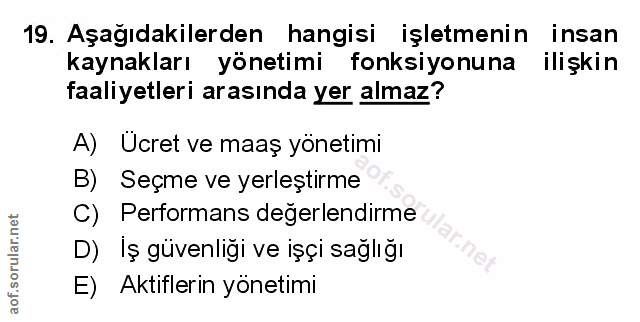 Soru 19