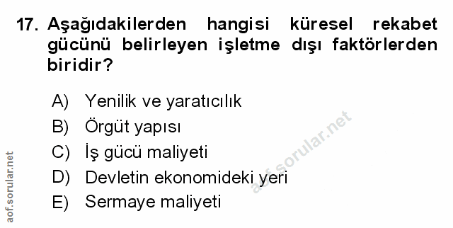 Soru 17