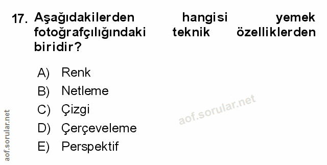 Soru 17