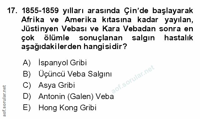Soru 17