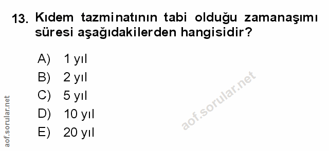 Soru 13