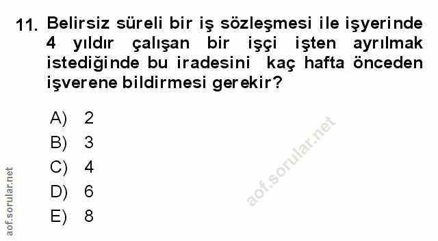 Soru 11