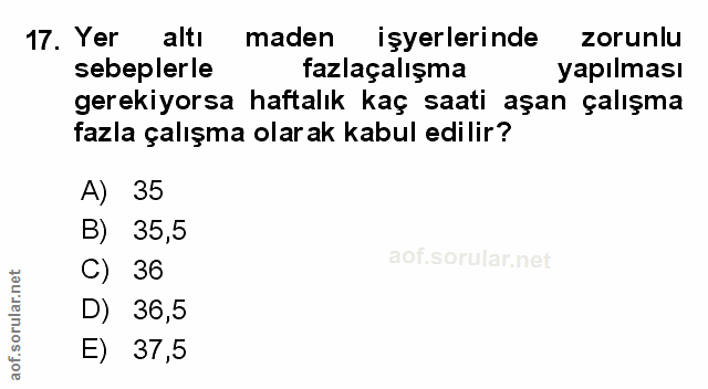 Soru 17