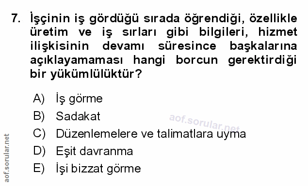 Soru 7