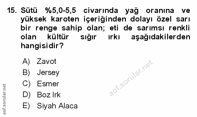 Soru 15