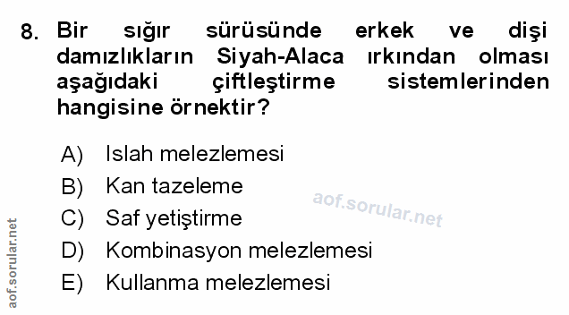 Soru 8