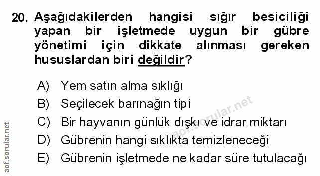 Soru 20