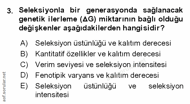 Soru 3