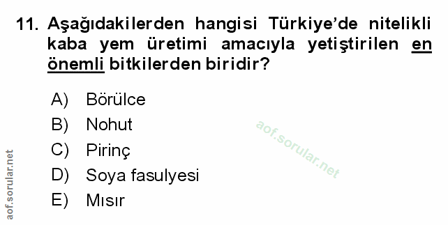 Soru 11