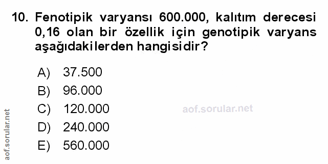 Soru 10
