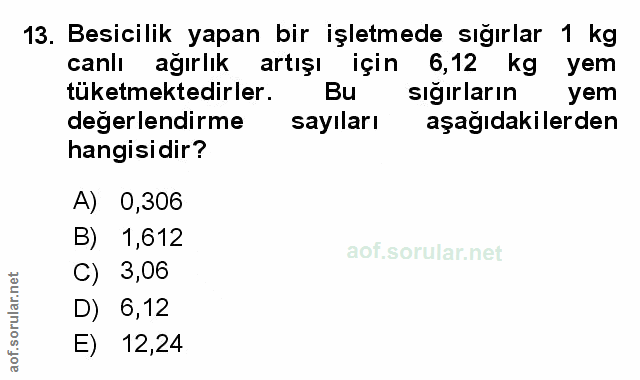 Soru 13