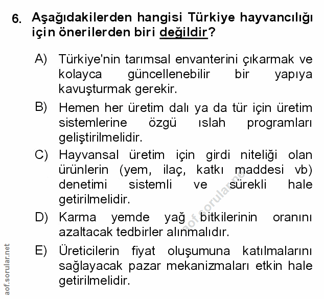 Soru 6