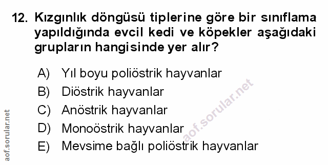 Soru 12