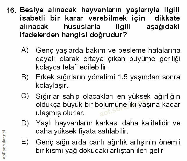 Soru 16