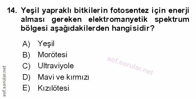 Soru 14