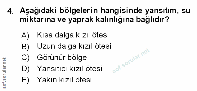 Soru 4