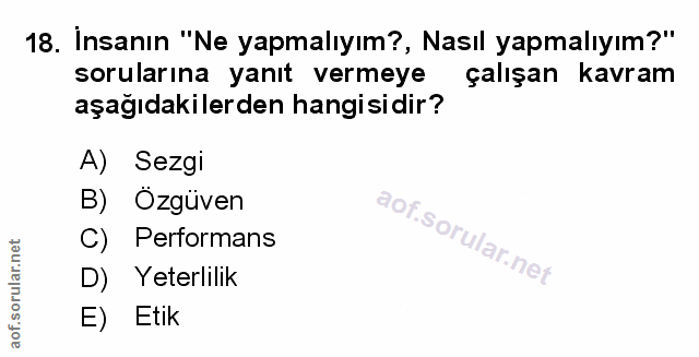 Soru 18