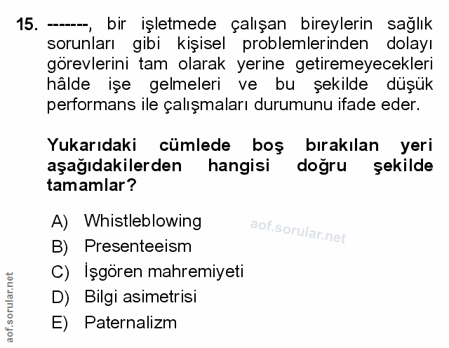 Soru 15