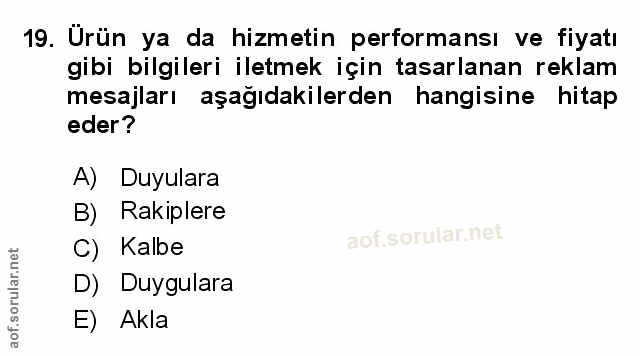 Soru 19