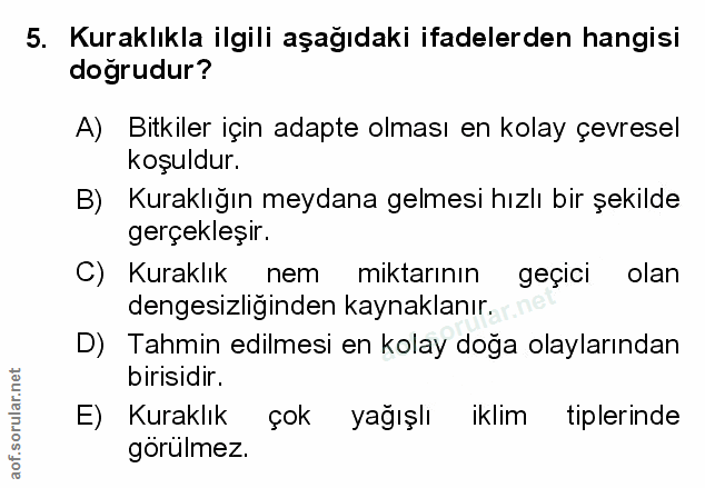 Soru 5