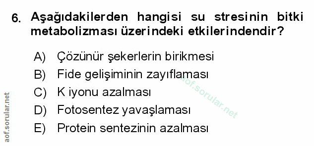 Soru 6
