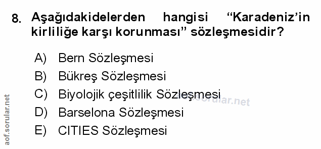 Soru 8
