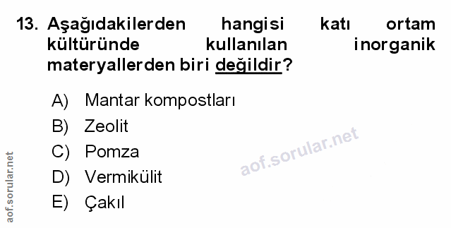 Soru 13