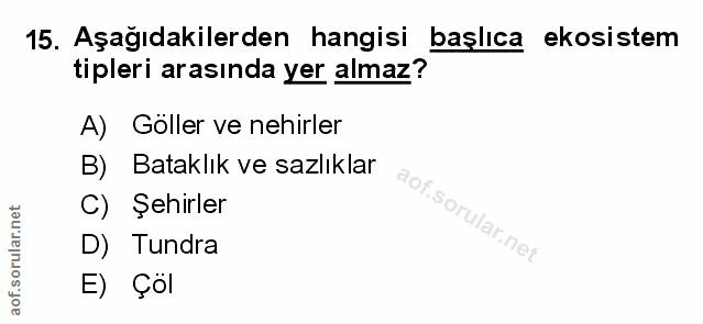 Soru 15