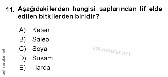 Soru 11