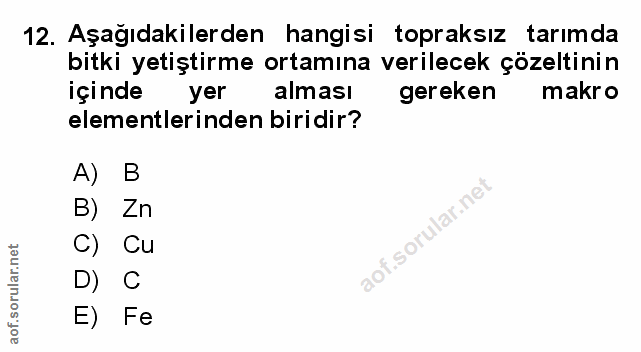 Soru 12
