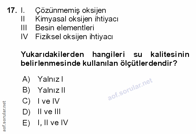 Soru 17