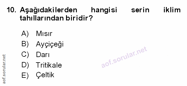 Soru 10