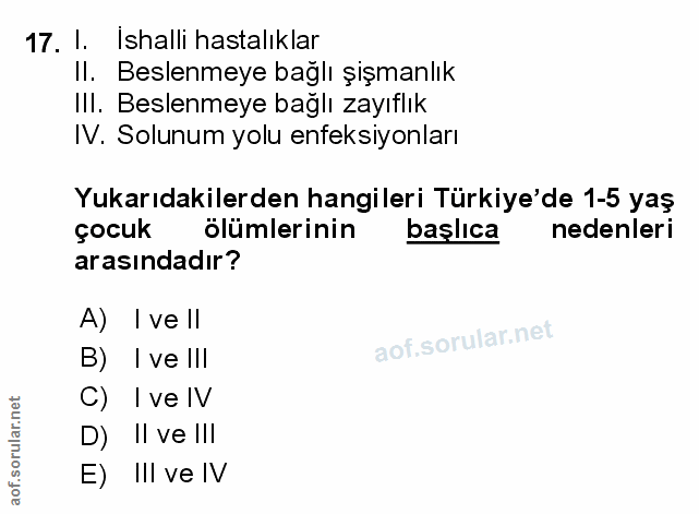Soru 17