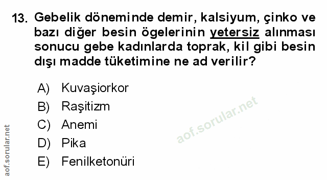 Soru 13