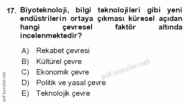 Soru 17