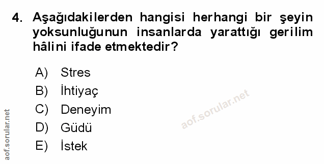 Soru 4